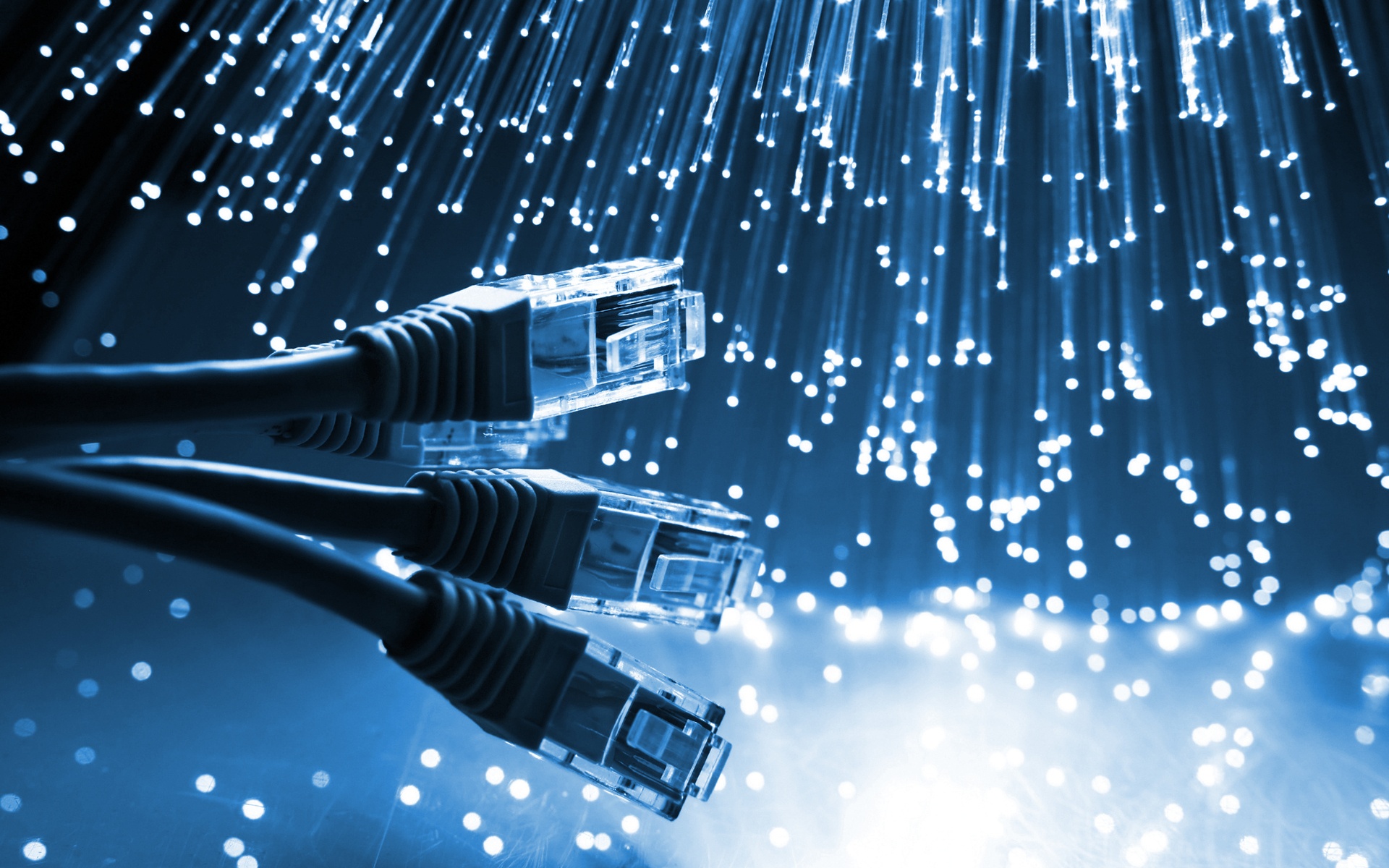 network2.jpg